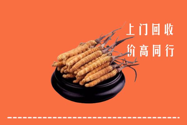 高价求购：雅安名山回收散虫草