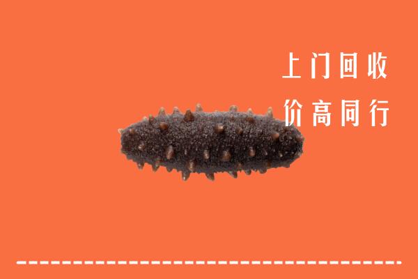 高价求购：雅安名山回收海参
