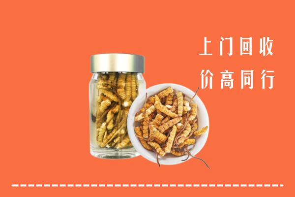 雅安名山回收冬虫夏草